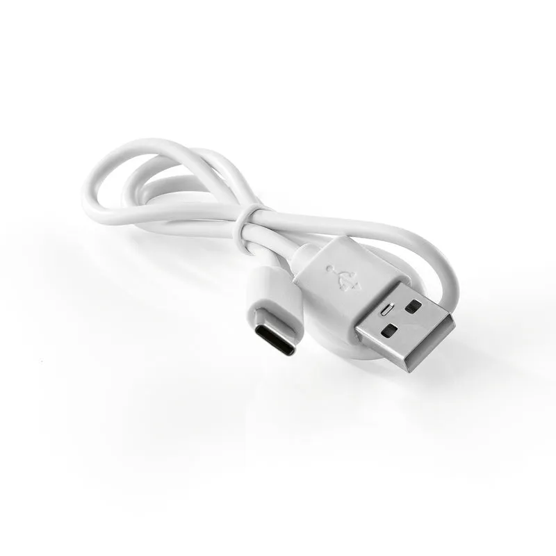 2in1-Akkusauger mit Saug- und Gebläsefunktion