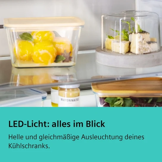 iQ300 Freistehende Kühl-Gefrier-Kombination mit Gefrierbereich unten 186 x 60 cm Edelstahl KG36NVIBG