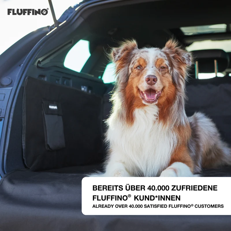 Kofferraumschutz für Hund inkl. Seiten- & Ladekantenschutz - dunkelgrau