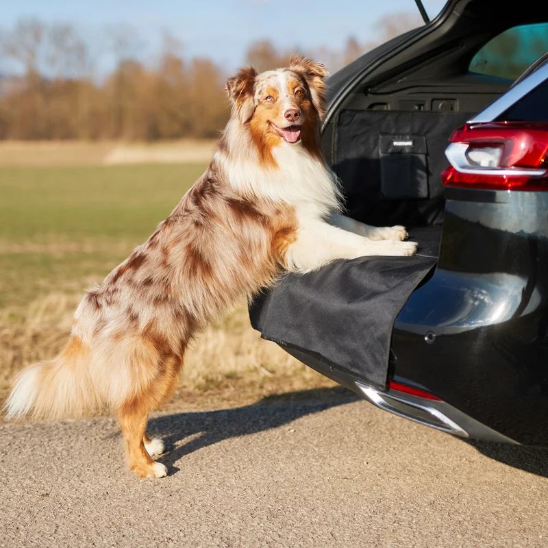Kofferraumschutz für Hund inkl. Seiten- & Ladekantenschutz - dunkelgrau