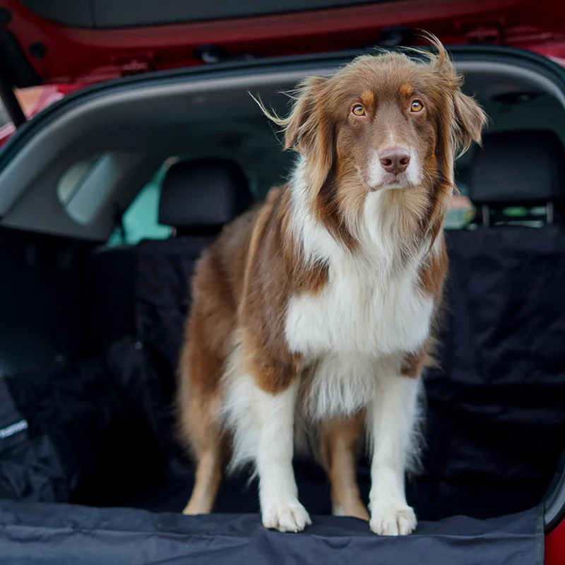 Kofferraumschutz für Hund inkl. Seiten- & Ladekantenschutz - dunkelgrau