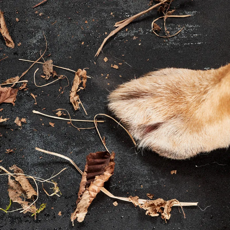 Kofferraumschutz für Hund inkl. Seiten- & Ladekantenschutz - dunkelgrau