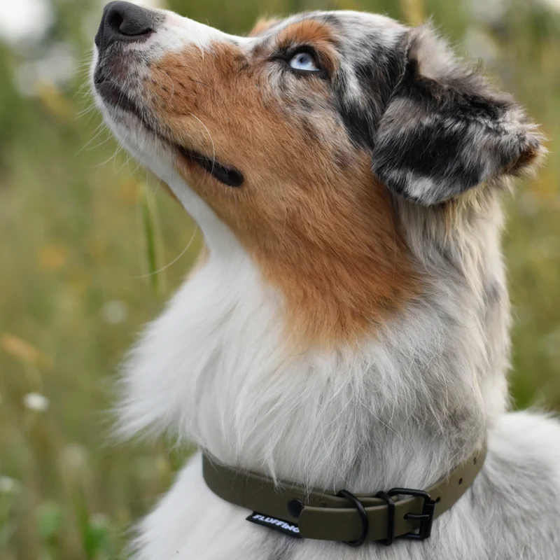 Hundehalsband aus BioThane - 5-Fach verstellbare - Größe M - Halsumfang 37 - 45 cm - Oliv