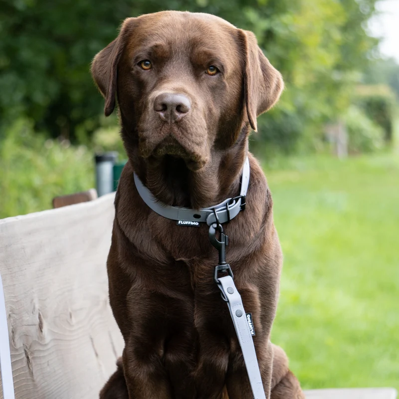 Hundehalsband aus BioThane - 5-Fach verstellbare - Größe L - Halsumfang 44 - 54 cm - Grau