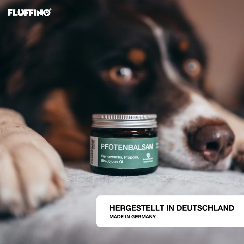 Pfotenbalsam - 50 ml - 100% natürlicher Pfotenschutz