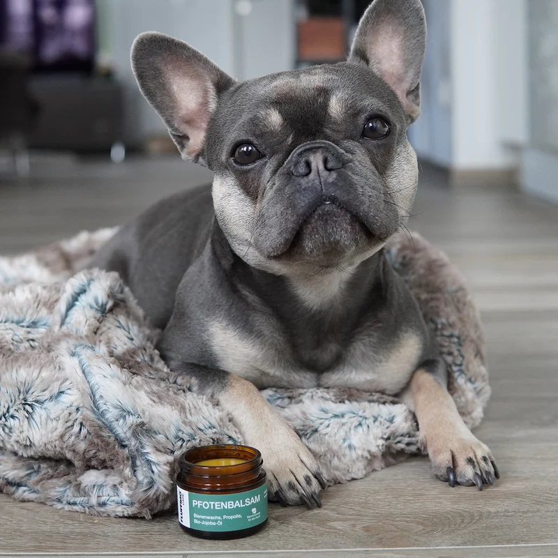 Pfotenbalsam - 50 ml - 100% natürlicher Pfotenschutz