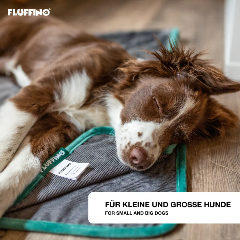 Hundedecke/ Wendedecke /Kuscheldecke - 150x100 cm - Grau