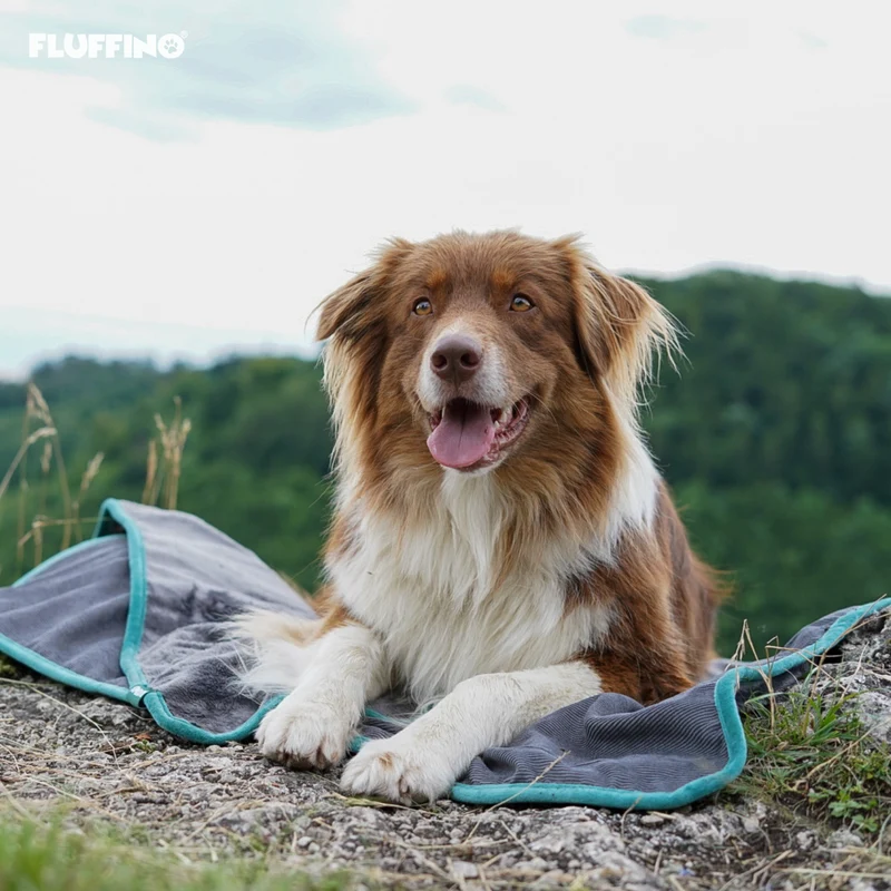 Hundedecke/ Wendedecke /Kuscheldecke - 150x100 cm - Grau