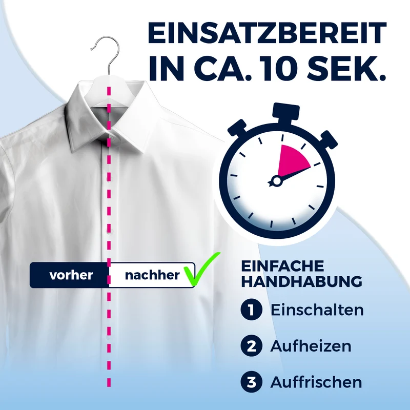 2in1-Dampfbürste