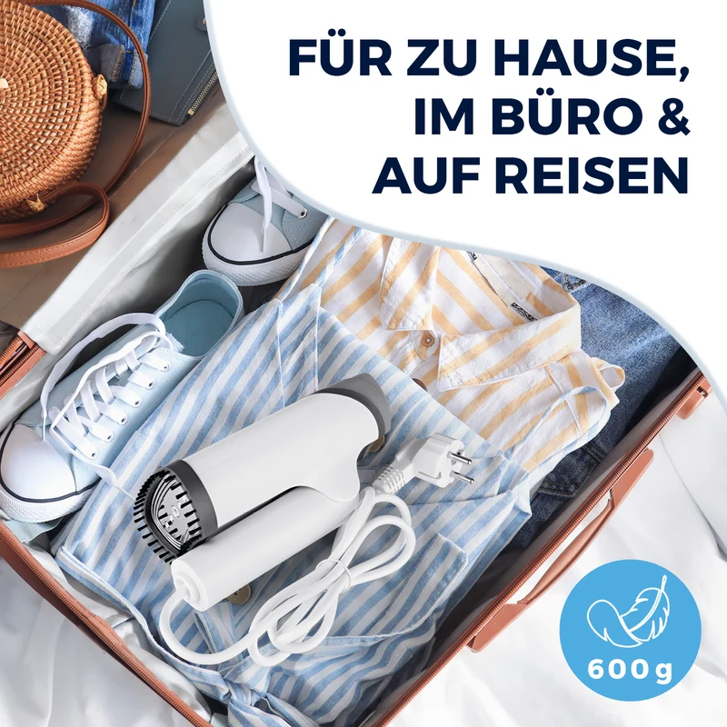 2in1-Dampfbürste