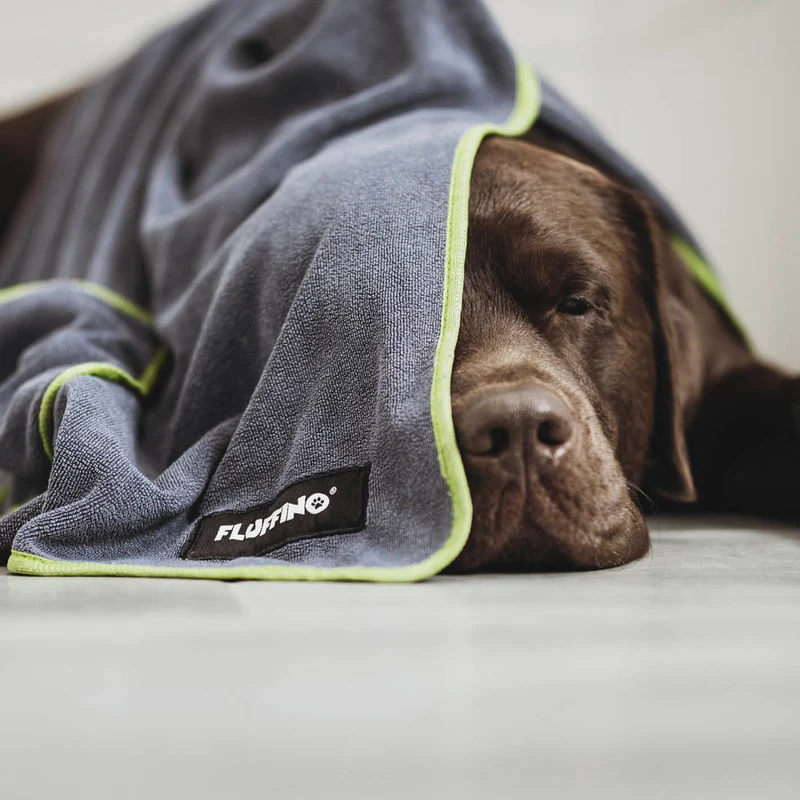 Hundehandtuch Mikrofaser – 4er-Pack - Grau & Grün