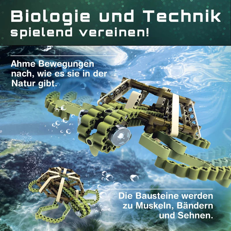 Baustein-Set Schildkröte