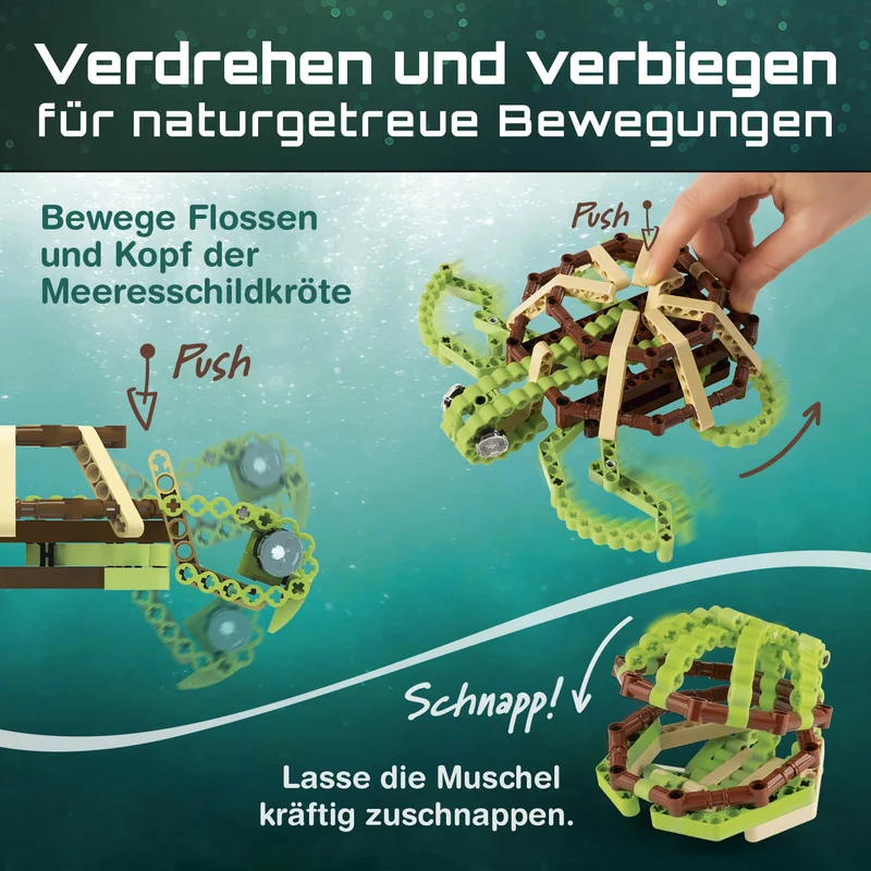 Baustein-Set Schildkröte