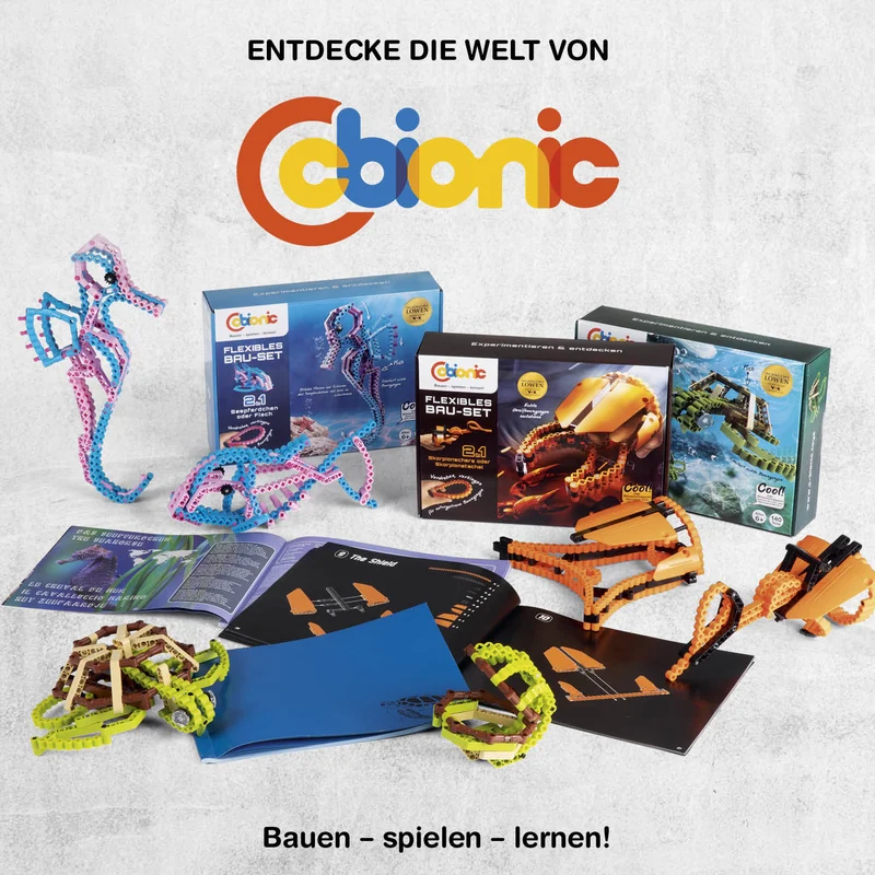 Baustein-Set Schildkröte