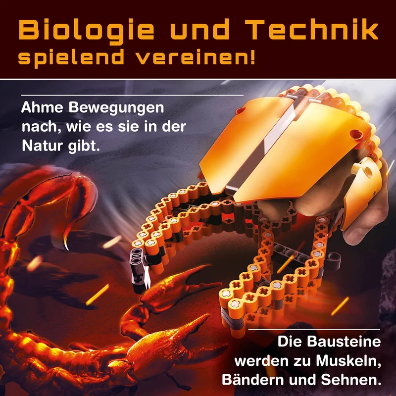 Baustein-Set Skorpion