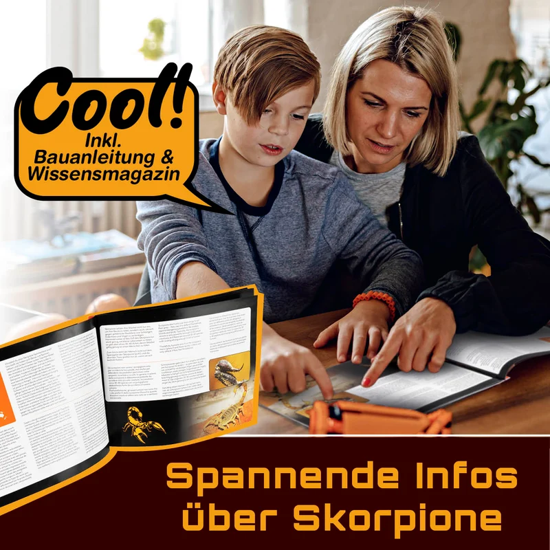 Baustein-Set Skorpion