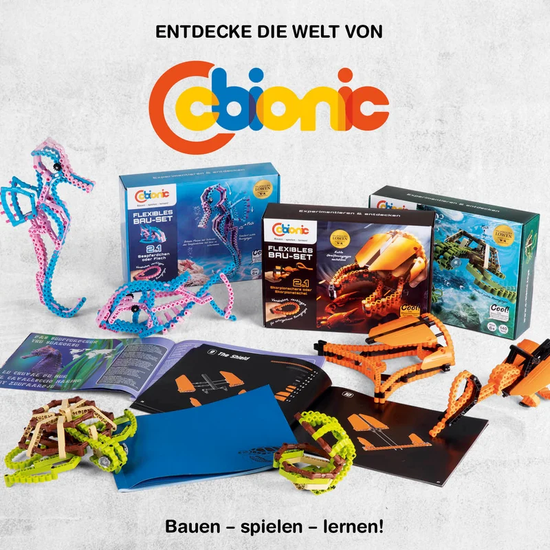 Baustein-Set Skorpion