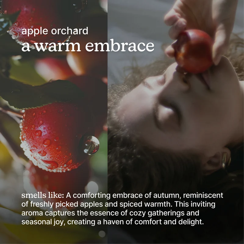 Homedics SereneScent 120ml Oil - Apple Orchard