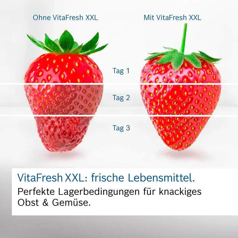 Bosch KGN392LAG Kühl-Gefrier-Kombination VitaFresh NoFrost