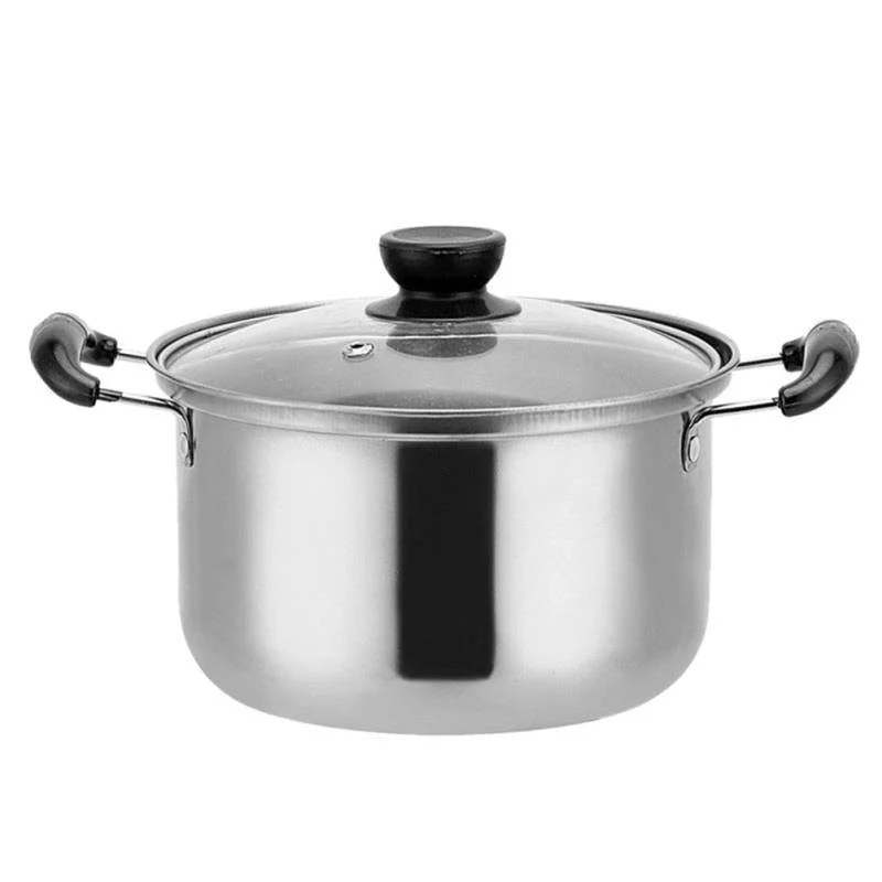 Stainless Steel Induction Pot 22 CM