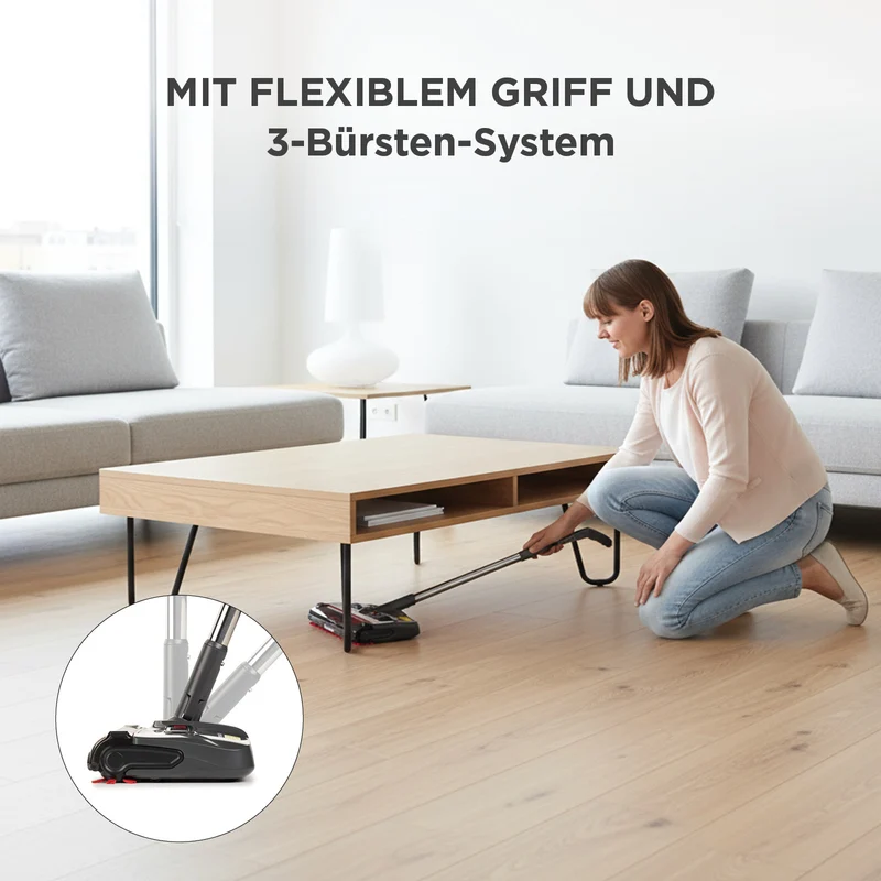 Rosmarino elektrischer Besen Clean Sweep