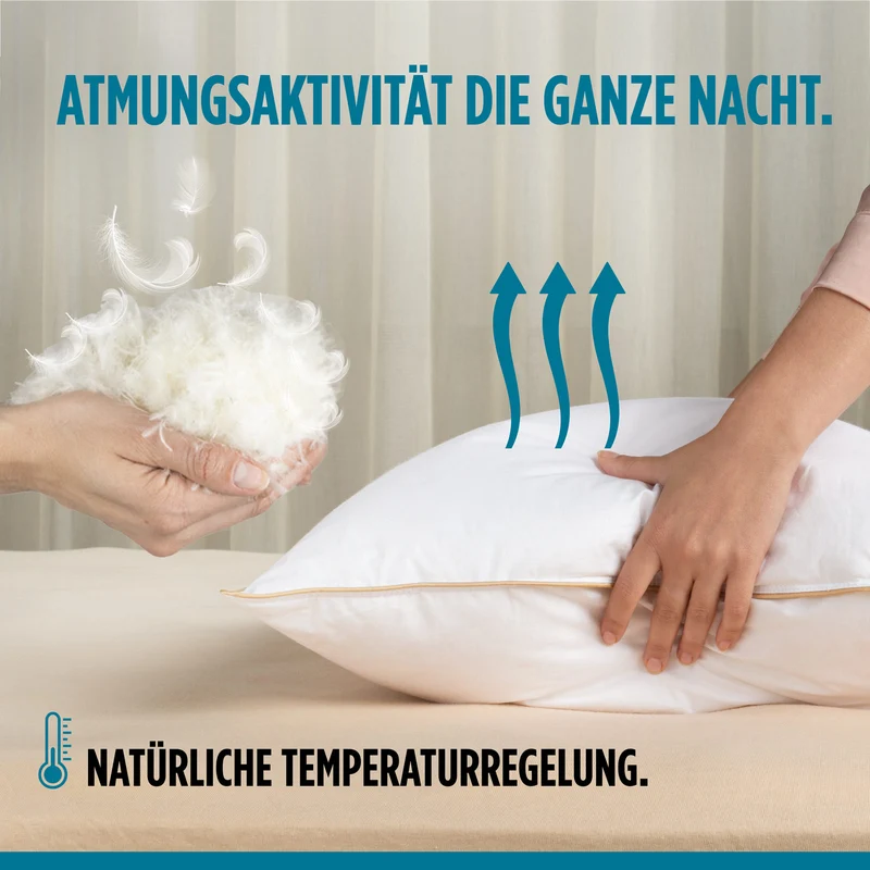 2 x klassisches Federn- und Daunenkissen Vitapur Finland Premium – 50 x 70 cm