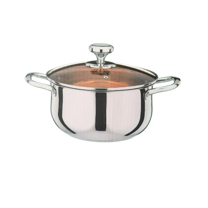 Stainless Steel Induction Bottom Stockpot with Glass Lid