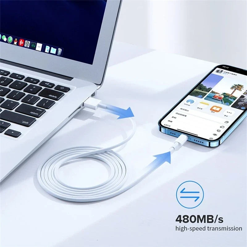 Biva Lighting iPhone Cable