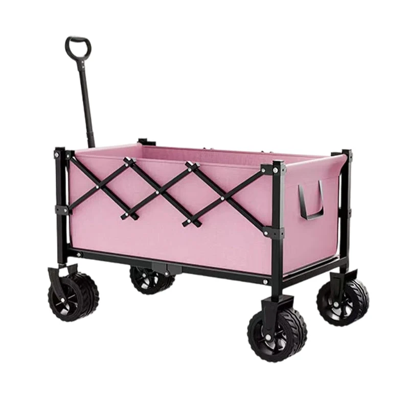 💥 Jetzt 50 % sparen! 🚚 Transportwagen mit 80 kg Traglast