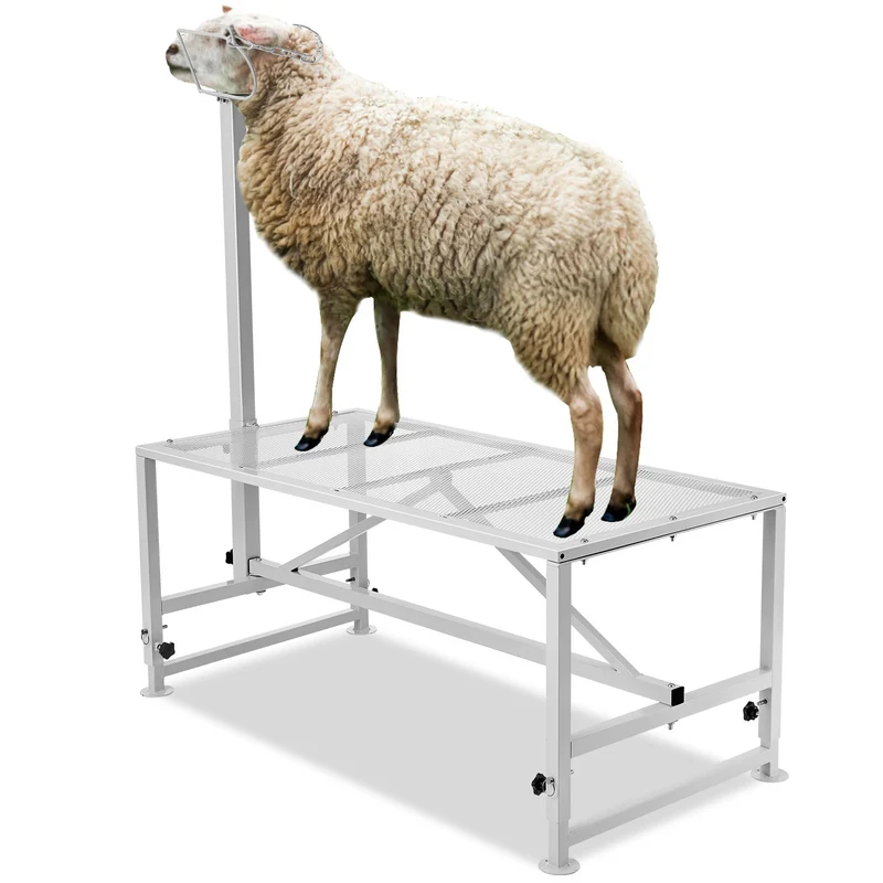 Viehständer Trimmständer Scherständer Ziegen 1195x584mm