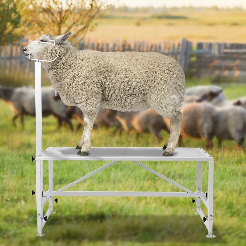 Viehständer Trimmständer Scherständer Ziegen 1195x584mm