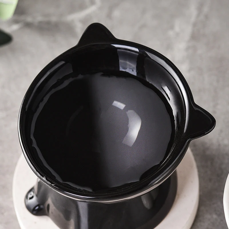 🐱 Erhöhter Kunststoff-Fressnapf für Katzen 🥣 Ergonomisches Design für Komfort beim Fressen