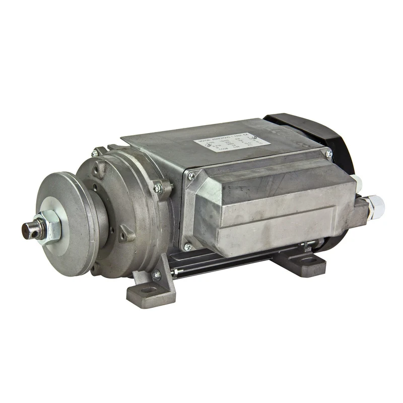 Elektromotor Steinsäge Fliesensäge Nassschnitt WB2000 Ersatzmotor Antrieb