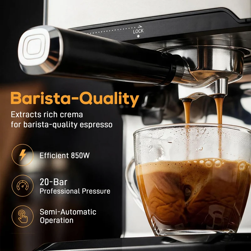 20-Bar Semi-Auto Espresso Maker with Frother, 1.6 L Tank, Black & Silver
