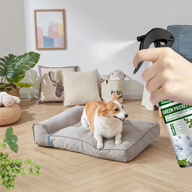 🔥 KAUF 2 ERHALT 3! 🐛 POWER-INSEKTENSPRAY - Sofortige Wirkung gegen Fliegen/Mücken, Geruchsneutral & Hautfreundlich, Ideal für Haus und Garten 🌿🧴