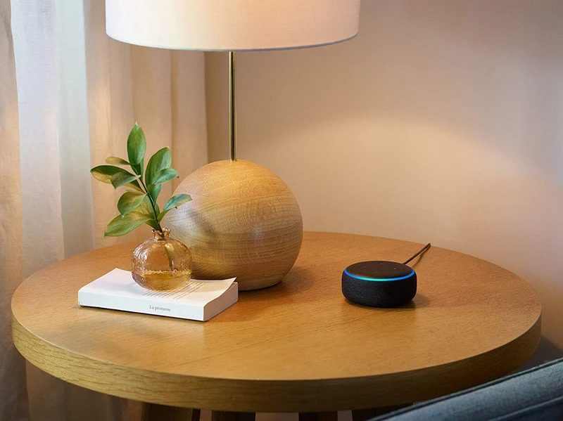 Ring Video Doorbell Pro and Echo Dot