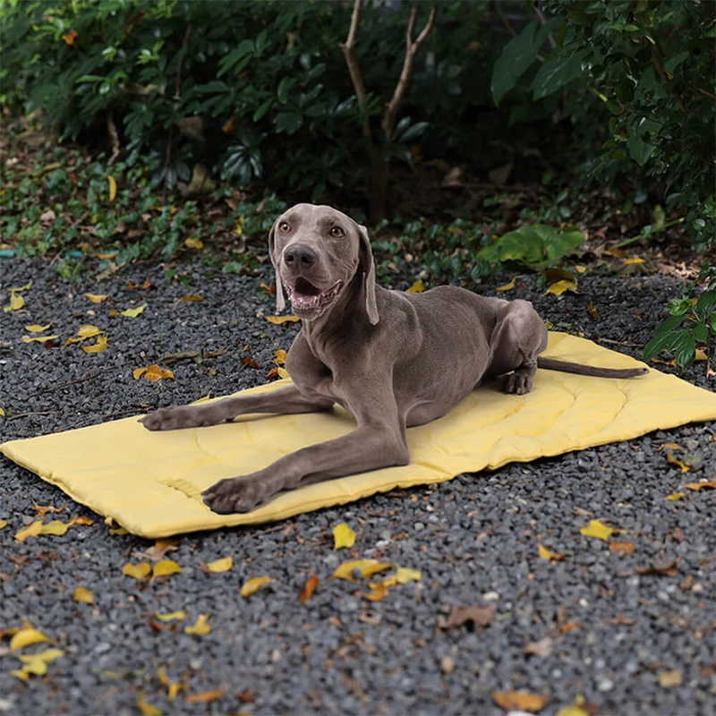 Skanto | Faltbare wasserdichte tragbare Hundeautositzmatte Hundecampingmatte
