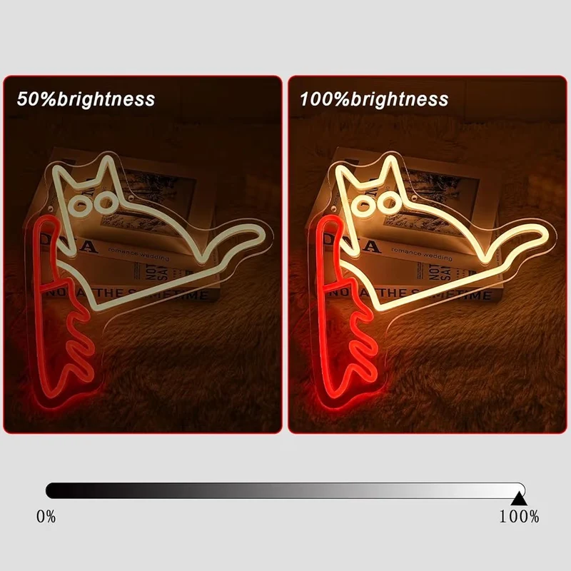 LED Neon Schild Lustige Katze Neonlicht USB Zimmer