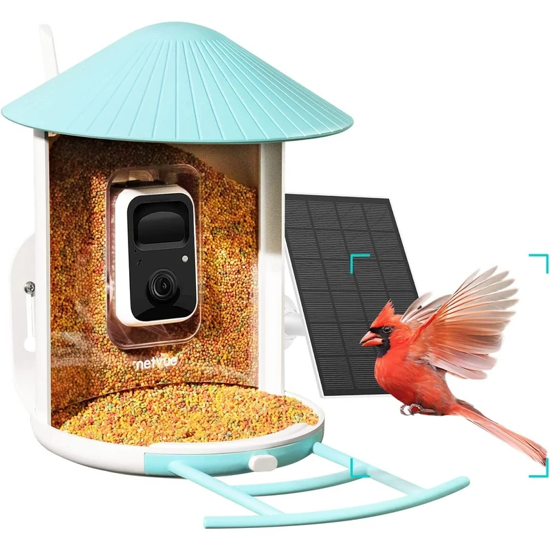 Watch birds on your phone anywhere, anytime with this smart bird feeder camera