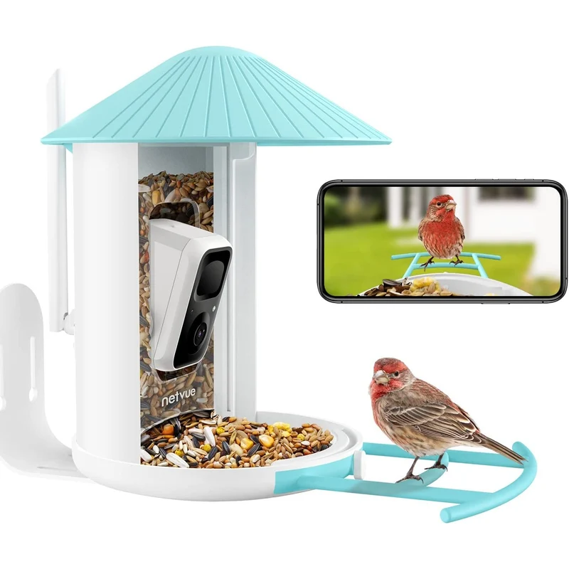 Watch birds on your phone anywhere, anytime with this smart bird feeder camera