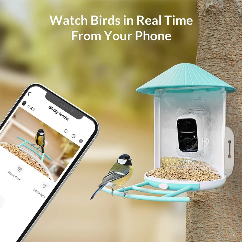 Watch birds on your phone anywhere, anytime with this smart bird feeder camera