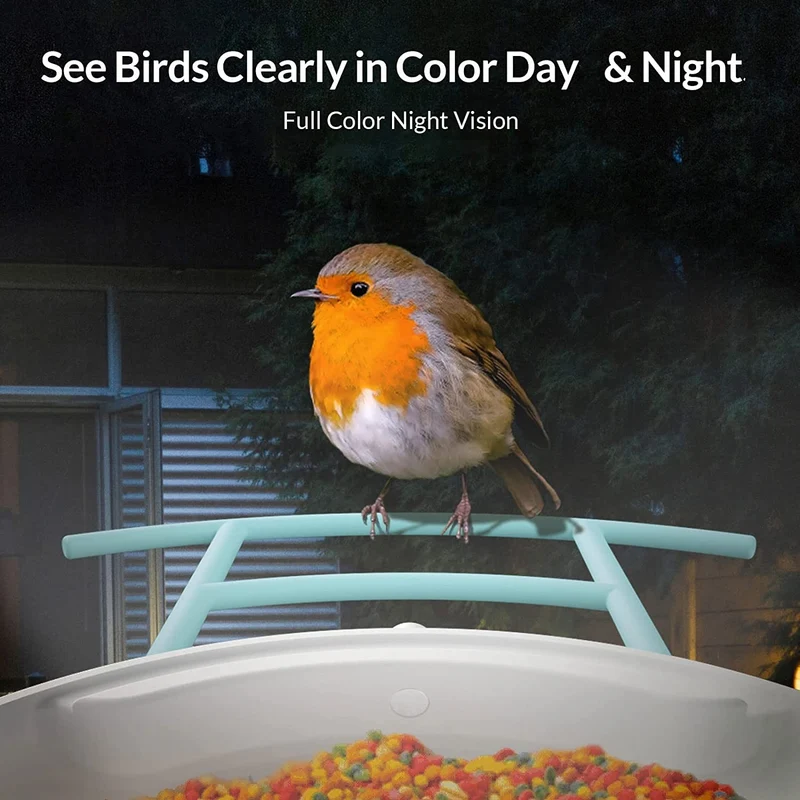 Watch birds on your phone anywhere, anytime with this smart bird feeder camera