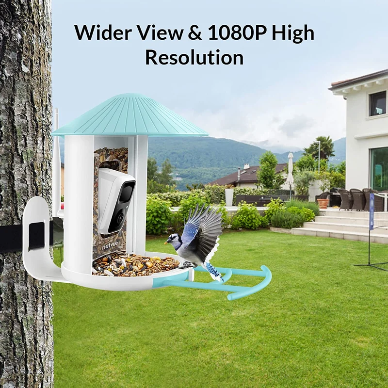 Watch birds on your phone anywhere, anytime with this smart bird feeder camera