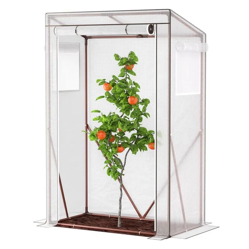 Tomaten Gewächshaus Mini Folienhaus