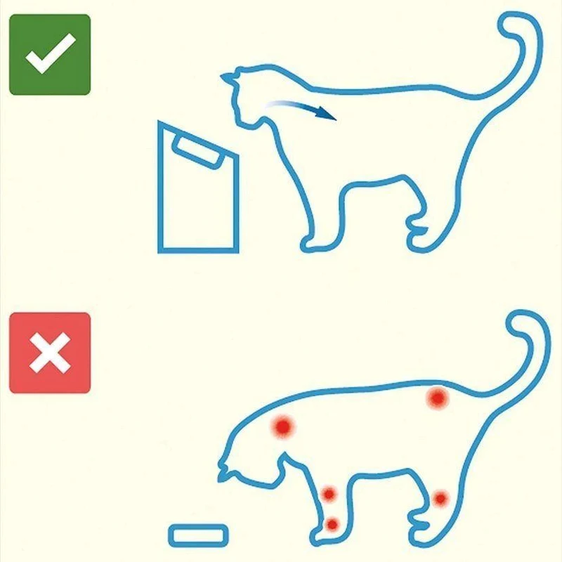 Futterstation Fressnapf Napf Hundenapf Katze Hund
