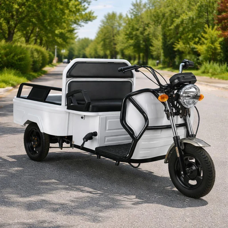 Elektro Lastenrad 1000W