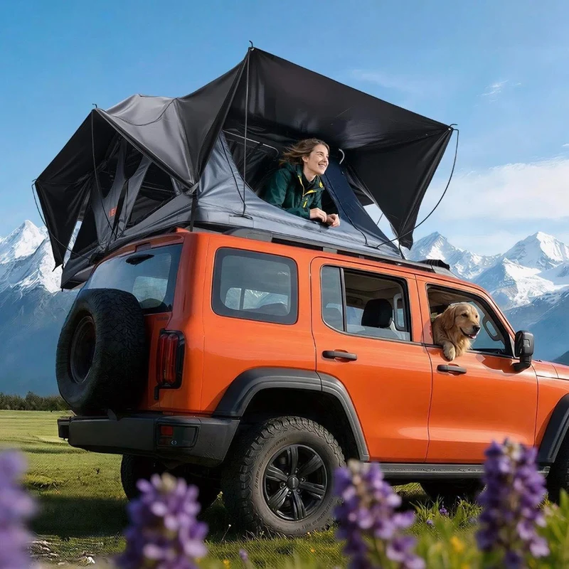Dachzelt Auto 2–3 Personen Camping