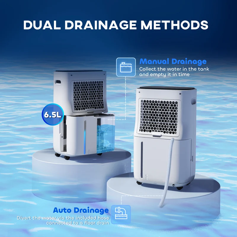20L/Day Dehumidifier with Air Purifier and HEPA Filter for Home Laundry Basement, White