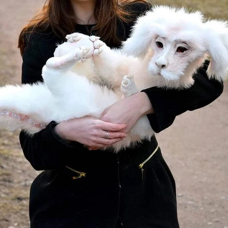 Skanto | Labyrinth Plüschpuppe Irrgarten Wurm Rote Haare Großmaul Monster Tier Plüschtier Süßes Lustiges Geschenk Plüschpuppe Wohnkultur