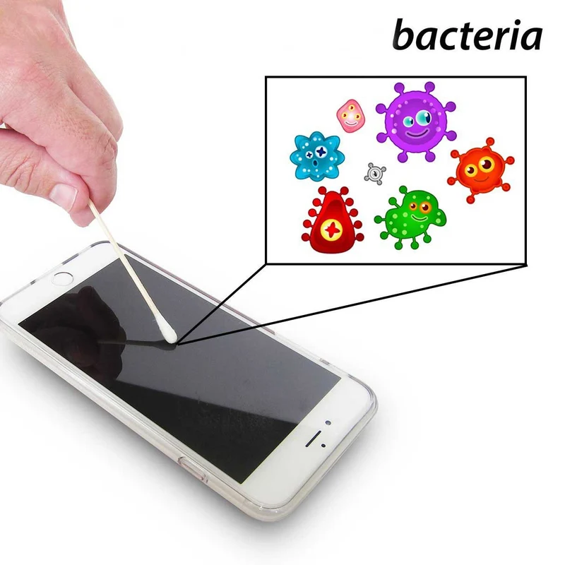 Bacteria Testing Science Kit